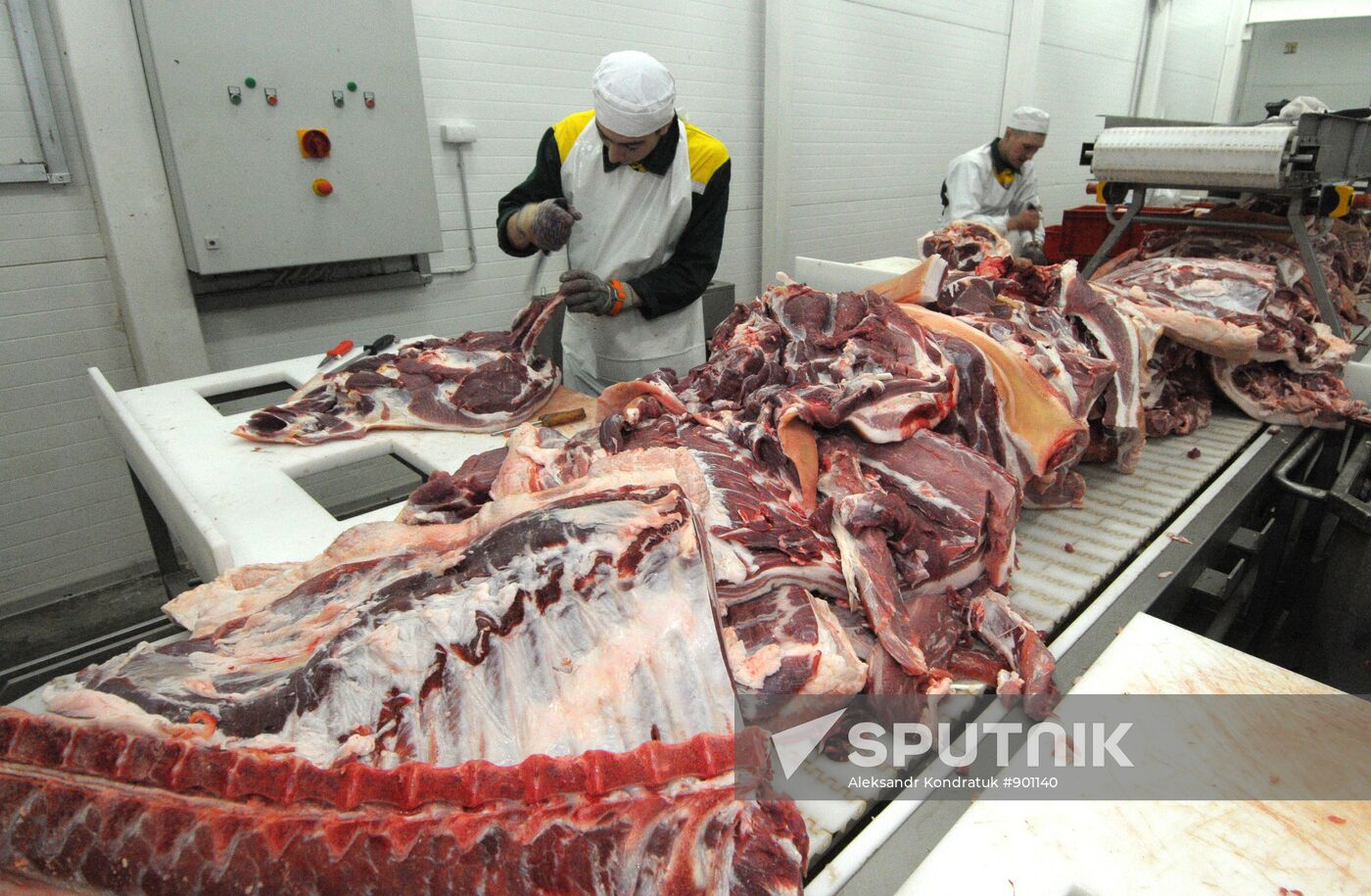 Work at "Rodnikovsky" pig farm