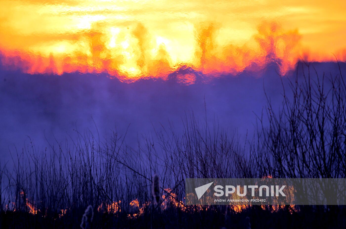 The Chernobyl nuclear power plant exclusion zone