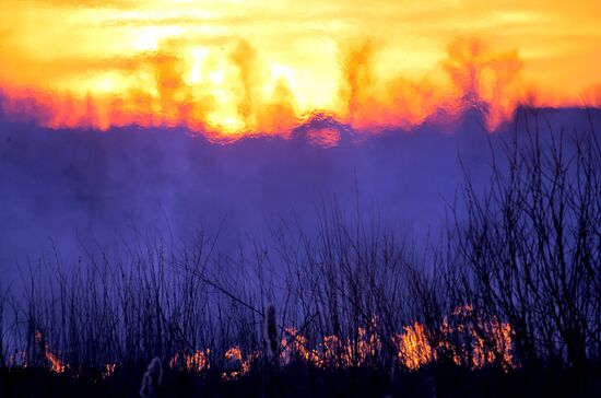 The Chernobyl nuclear power plant exclusion zone