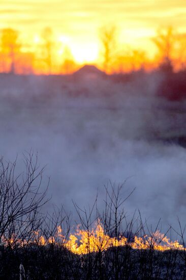 The Chernobyl nuclear power plant exclusion zone