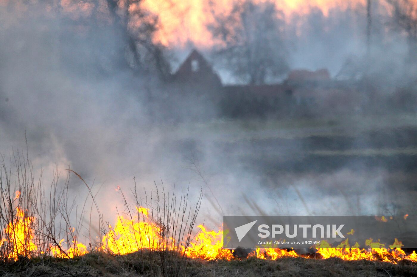 The Chernobyl nuclear power plant exclusion zone