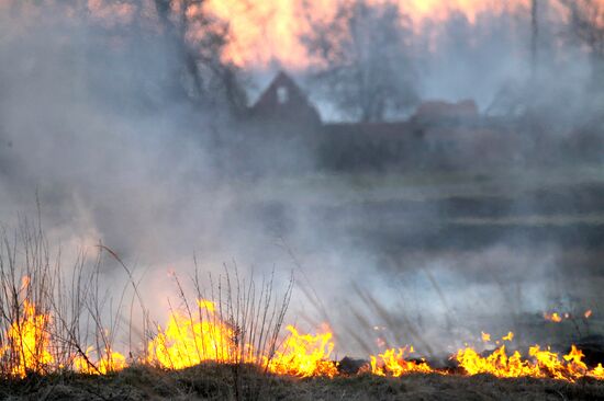 The Chernobyl nuclear power plant exclusion zone