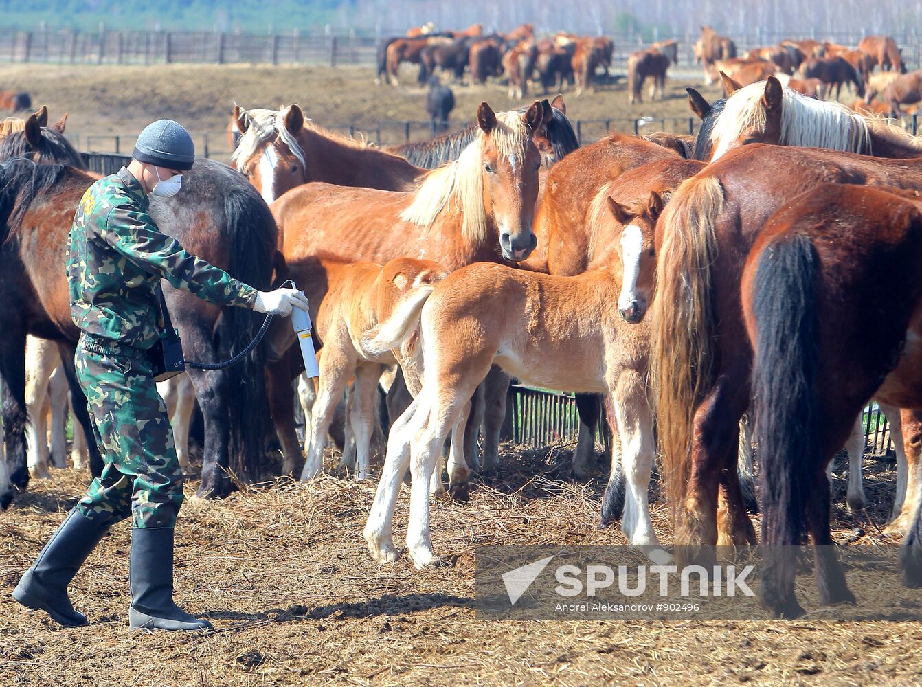 The Chernobyl nuclear power plant exclusion zone
