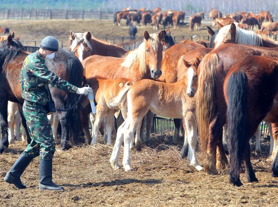 The Chernobyl nuclear power plant exclusion zone