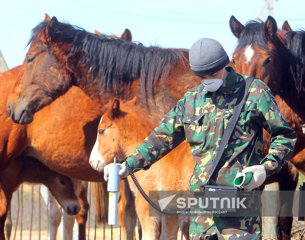 The Chernobyl nuclear power plant exclusion zone