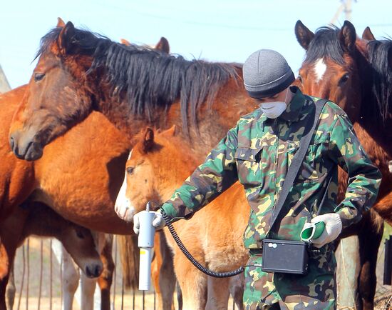 The Chernobyl nuclear power plant exclusion zone