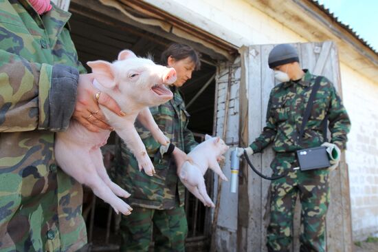 Exclusion Zone of Chernobyl NPP