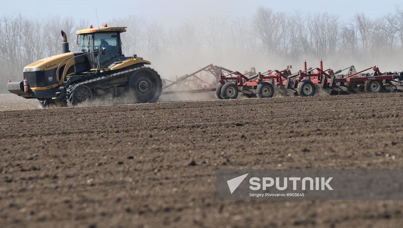 Sowing campaign in southern Russia