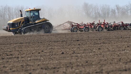 Sowing campaign in southern Russia