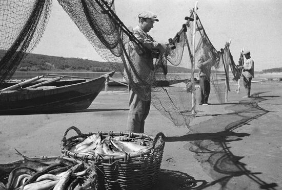 Fish and fishermen
