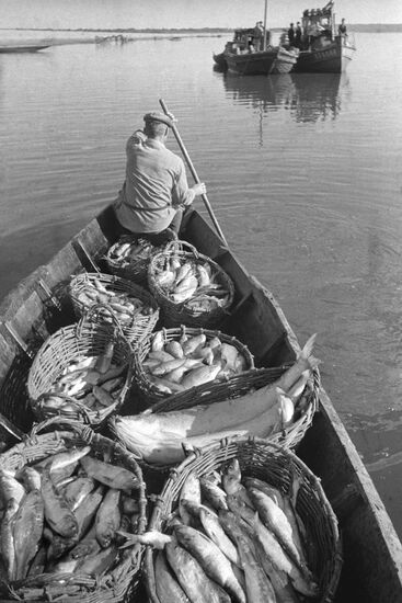 Fish and fishermen