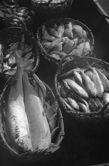 Fish and fishermen