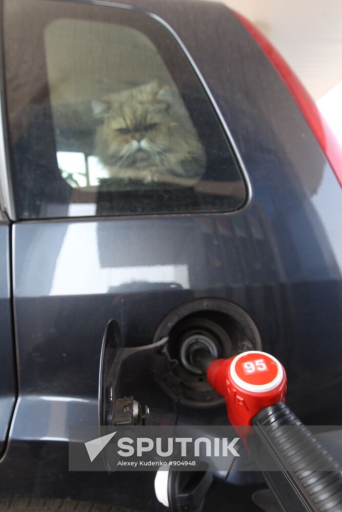 Gazpromneft filling station at work