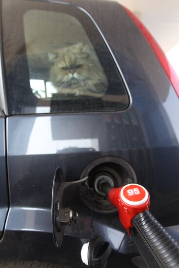 Gazpromneft filling station at work