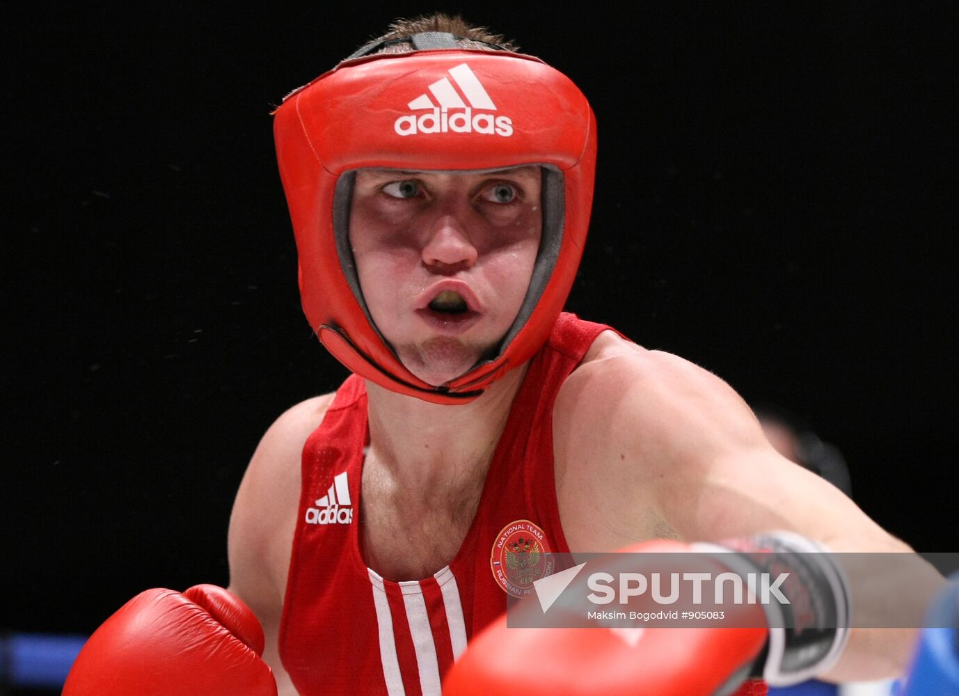 Russian Boxing Championship. Semi-finals