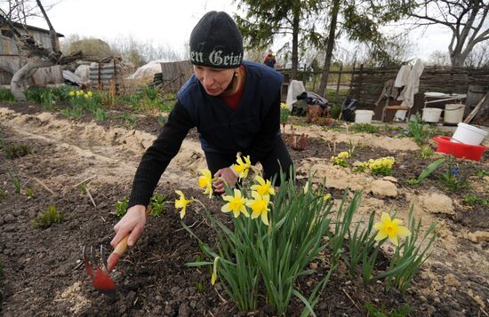 Dacha season starts in Novgorod region