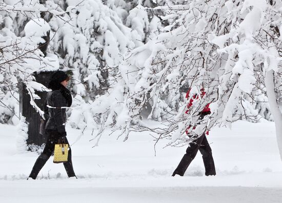 Aftermath of snow cyclone in Yuzhno-Sakhalinsk