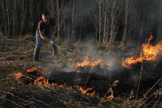 Wildfires hit Omsk Region