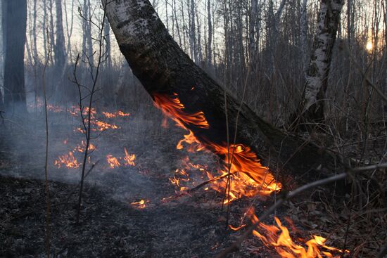Wildfires hit Omsk Region