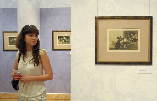 "Shade and Light" Exhibition of Francisco Goya's drawings