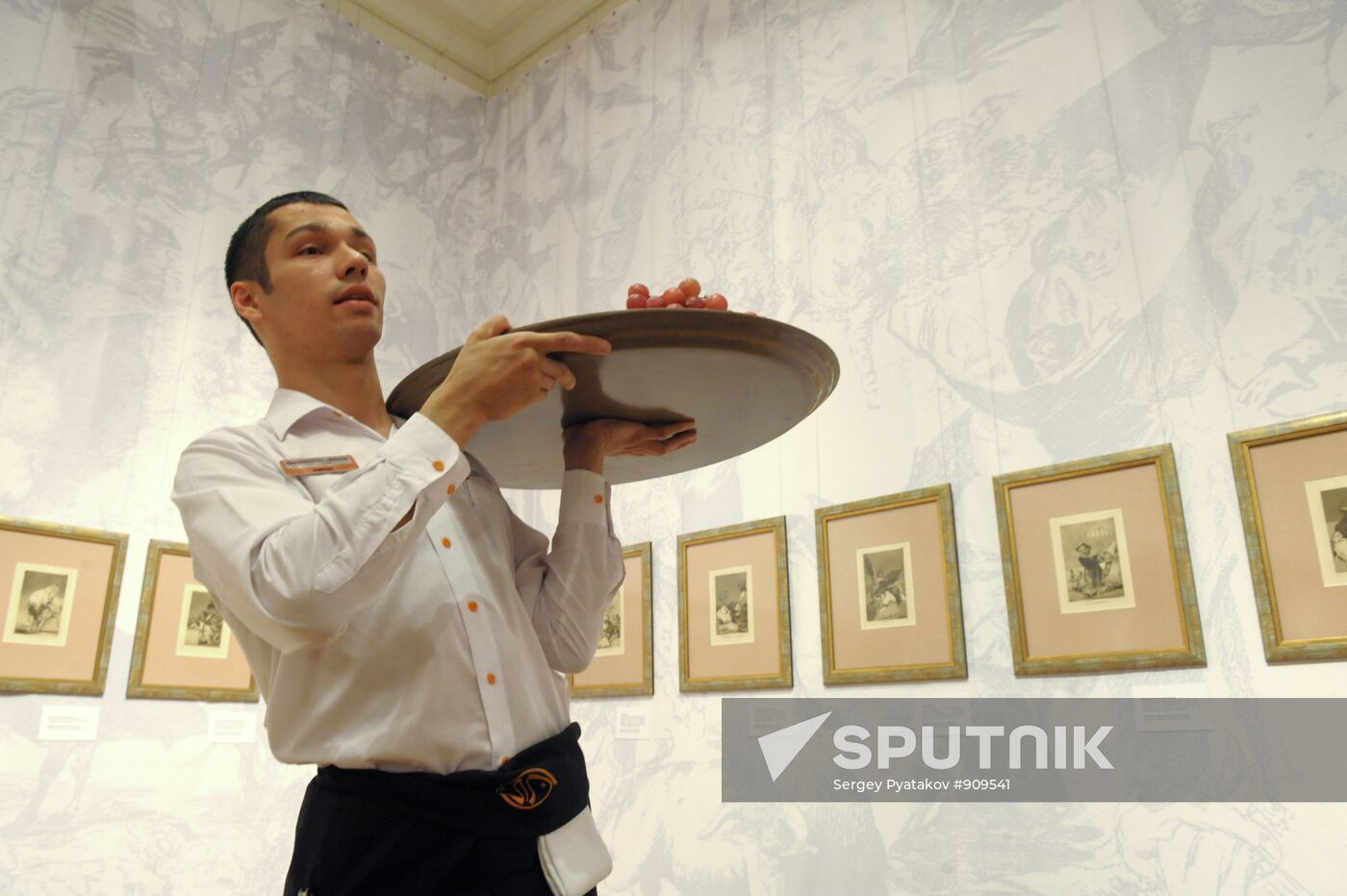 "Shade and Light" Exhibition of Francisco Goya's drawings