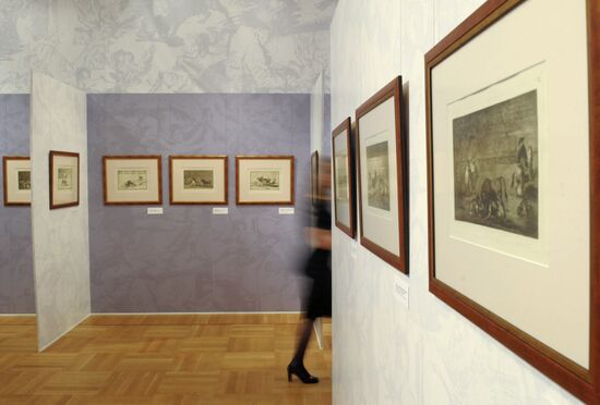 "Shade and Light" Exhibition of Francisco Goya's drawings