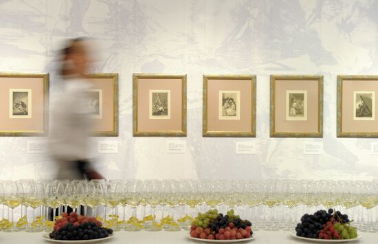 "Shade and Light" Exhibition of Francisco Goya's drawings