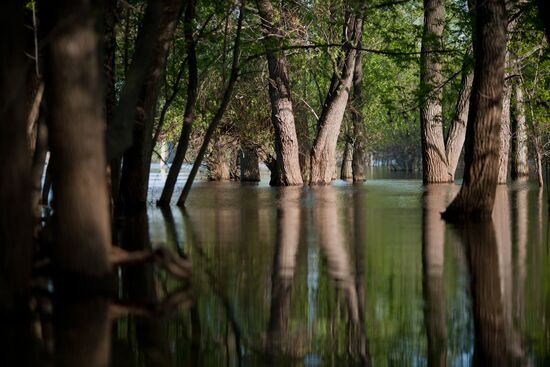 Annual spring flood in Volgograd Region