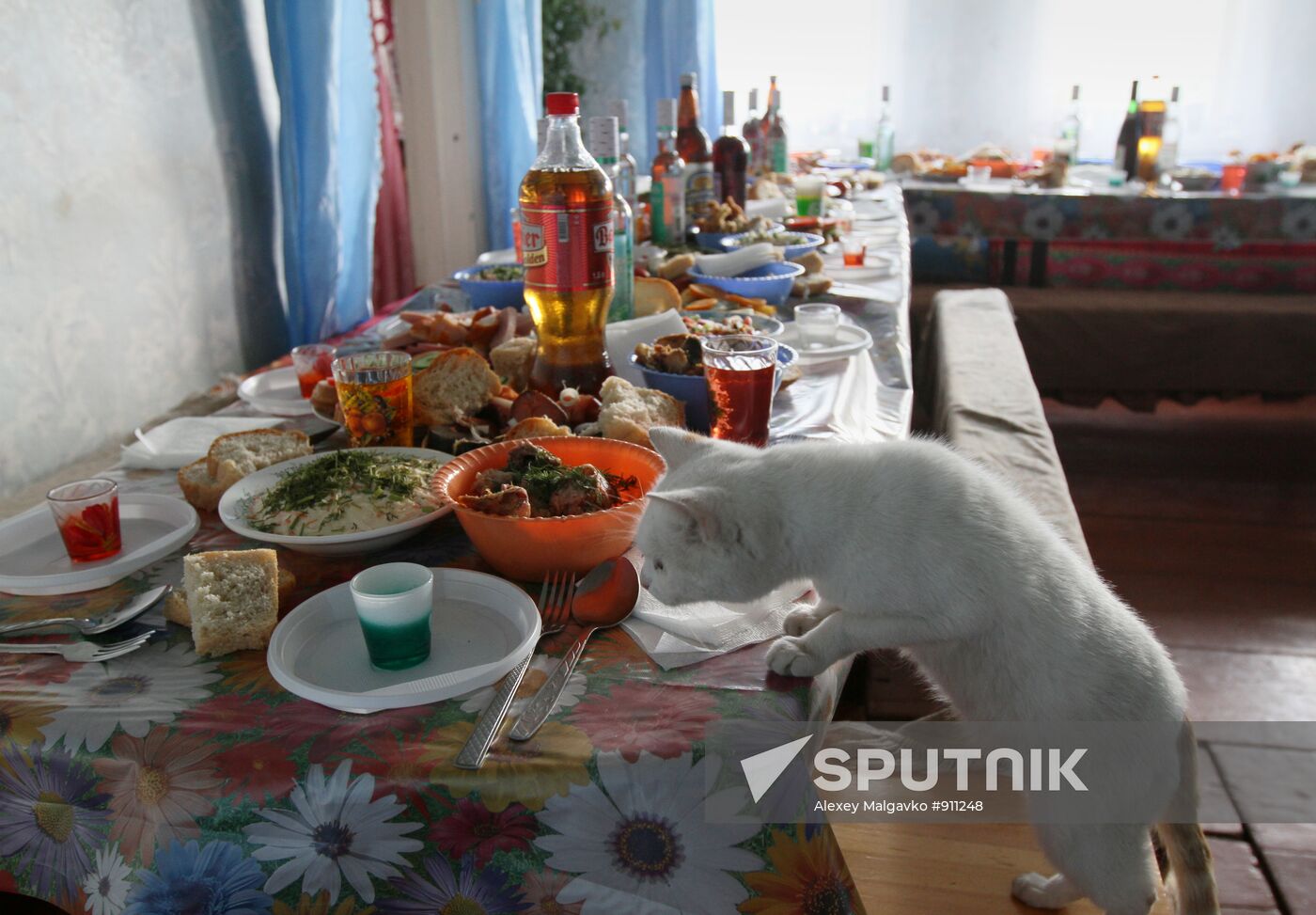 Seeing resident of Grinevich Tarski in Omsk region off to army