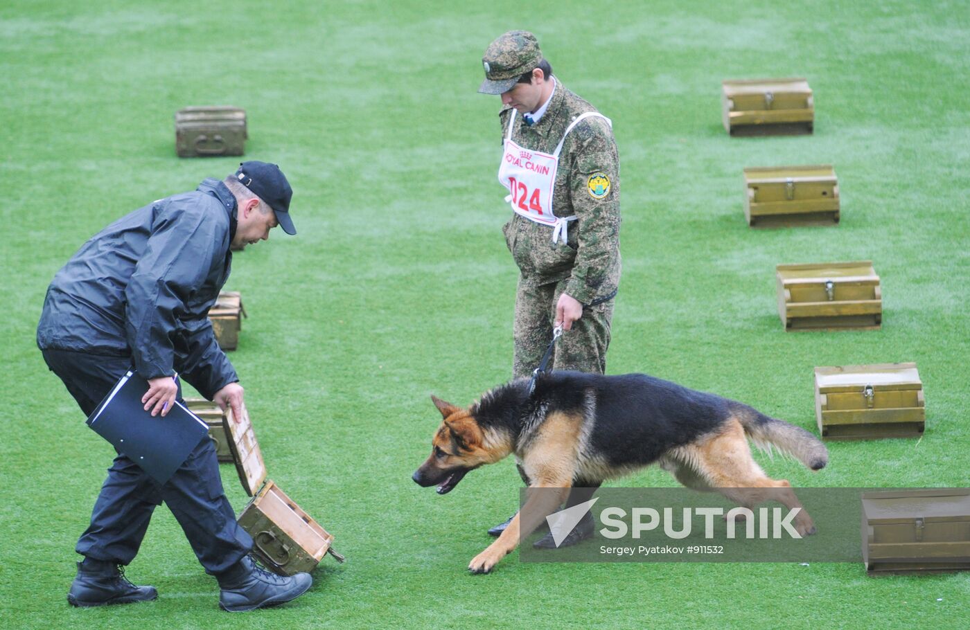 Professional Canine Championship of Russian customs authorities