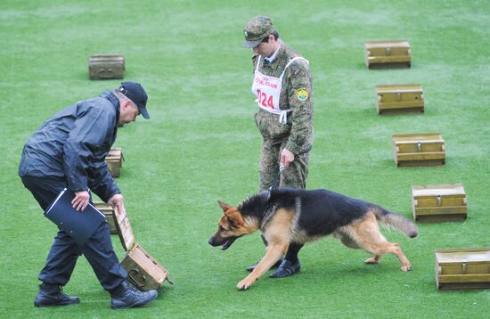 Professional Canine Championship of Russian customs authorities