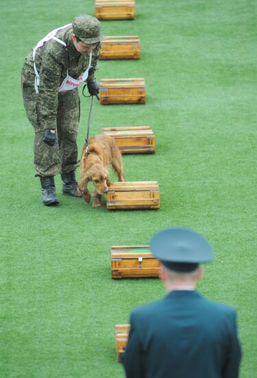 Professional Canine Championship of Russian customs authorities