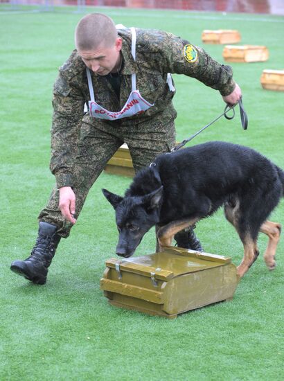 Professional Canine Championship of Russian customs authorities