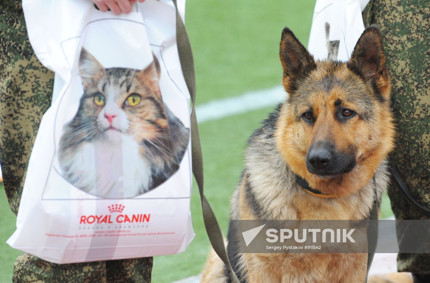 Professional Canine Championship of Russian customs authorities