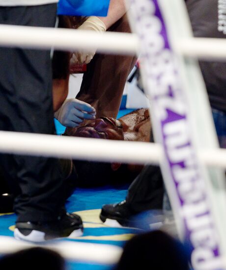 Boxing. Bout between Denis Lebedev (Russia) and Roy Jones