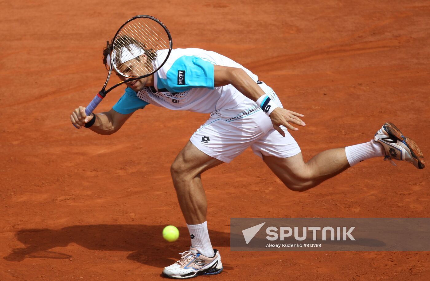 David Ferrer