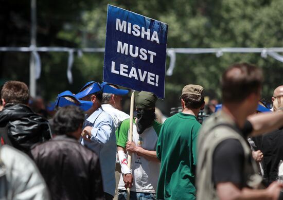 Opposition activists hold rally in Georgia
