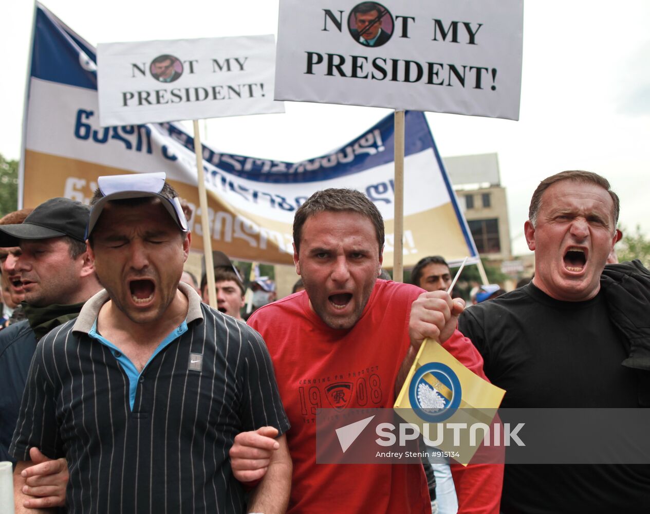 Opposition activists hold rally in Georgia