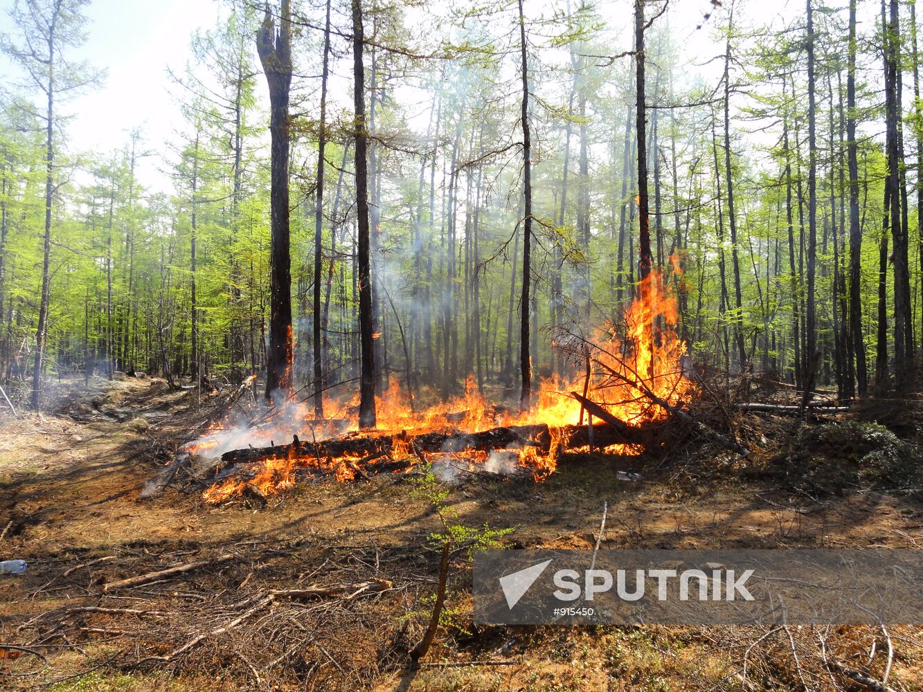Wildfires in Yakutsk