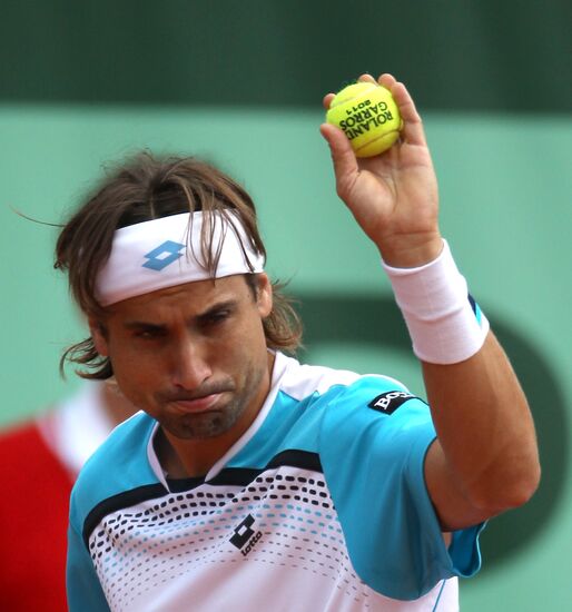 David Ferrer