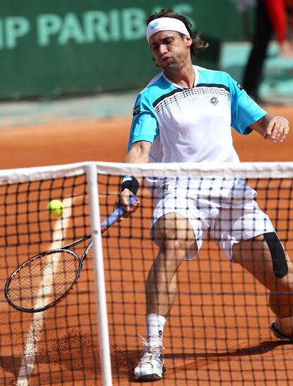 David Ferrer