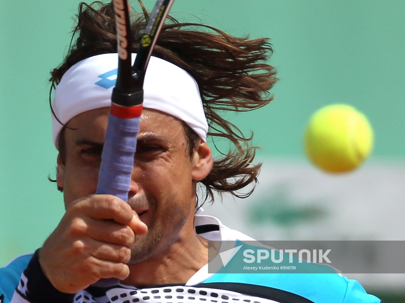 David Ferrer