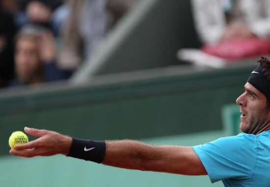 Juan Martín del Potro