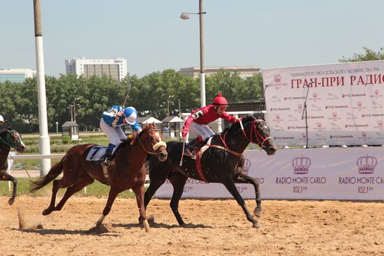 Radio Monte Carlo Grand Prix horse racing