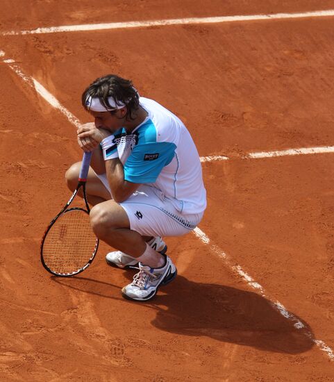 David Ferrer