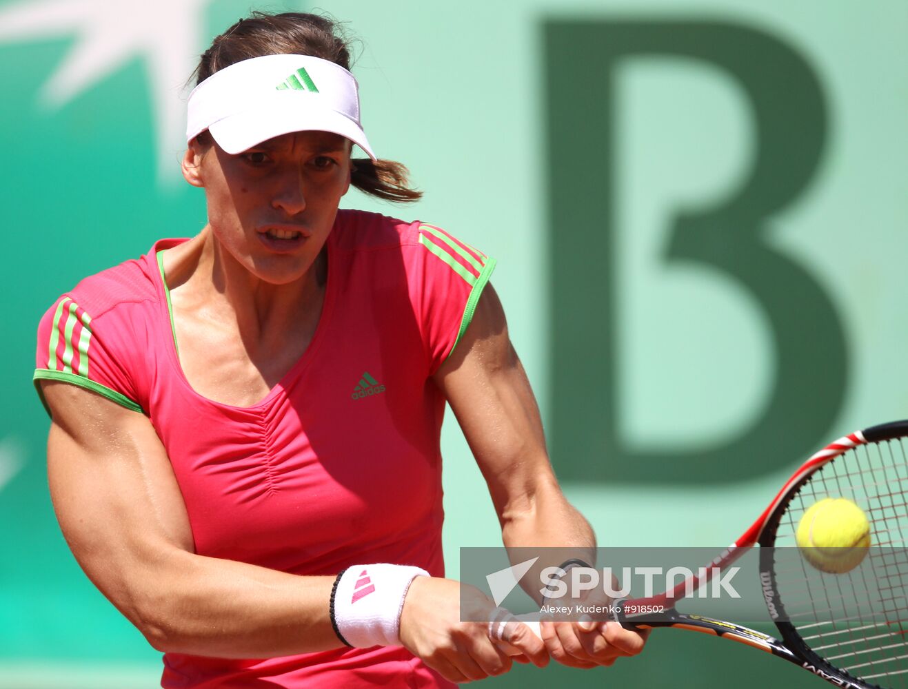 Andrea Petković