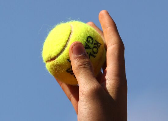 Tennis. Roland Garros - 2011. Eleventh day