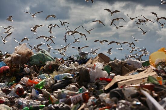 Inspecting solid waste landfills
