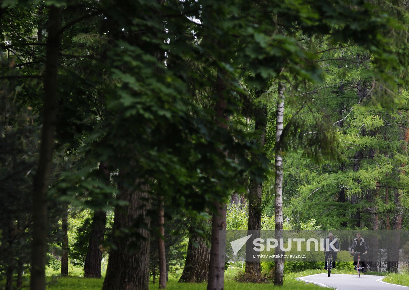 Informal meeting of Dmitry Medvedev and Vladimir Putin
