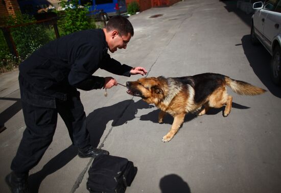 Dog service of FDCS